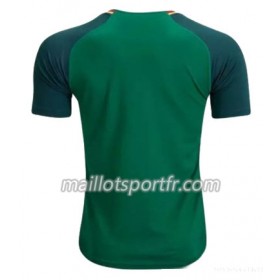 Maillot de Foot Cameroun Domicile Coupe du monde féminine 2019
